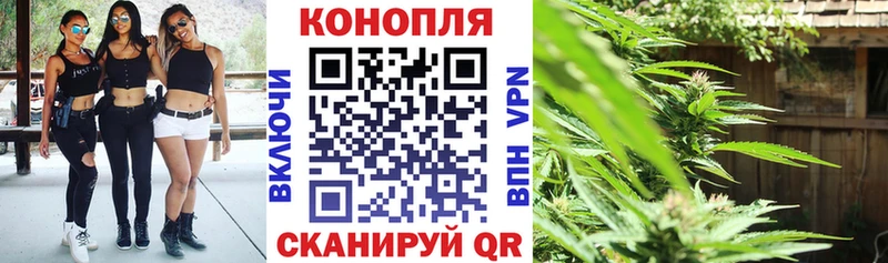 Бошки Шишки марихуана  Звенигово 